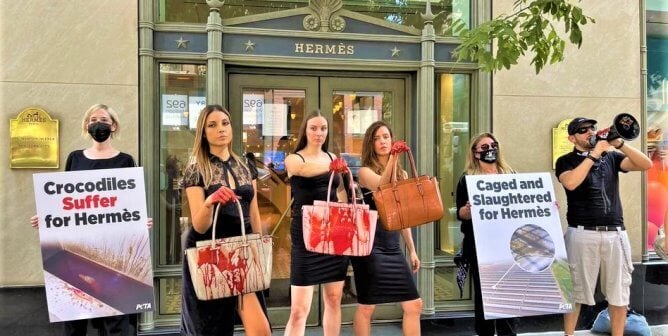 Hermes protest in NY