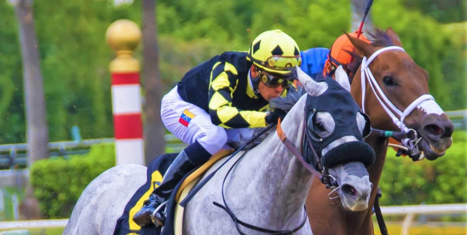 Races Suspended at Churchill Downs Amid Investigation Into the Deaths of 12 Horses During the 2023 Triple Crown Season