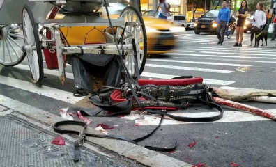 VIDEO: Horse Crashes in NYC—Carriage and Street Left Splattered With Blood