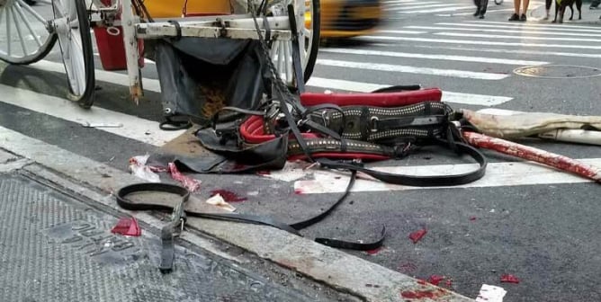 Horse Crashes in NYC—Carriage and Street Left Bloody