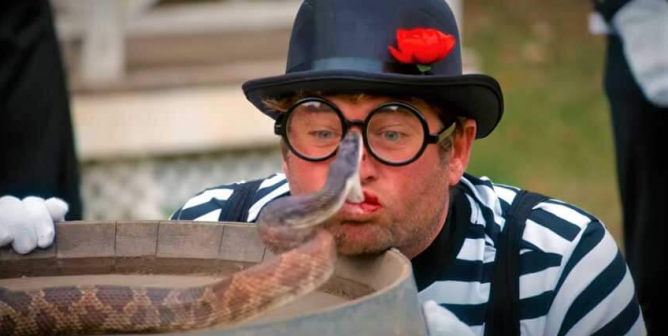 ‘Jackass Forever’ Stunts: Crude, Cruel, and … Criminal?