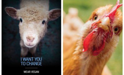 New PETA Lawsuit Demands L.A. Metro Hit the Brakes on Free-Speech Restraint