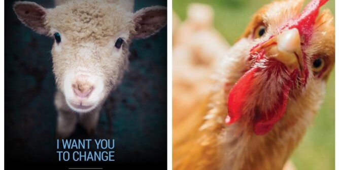 Public Service Announcements (PSA) | Videos Public Service Announcements (PSA) | Videos