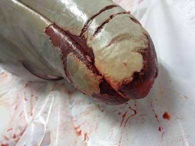 bloody dead dolphin miami seaquarium