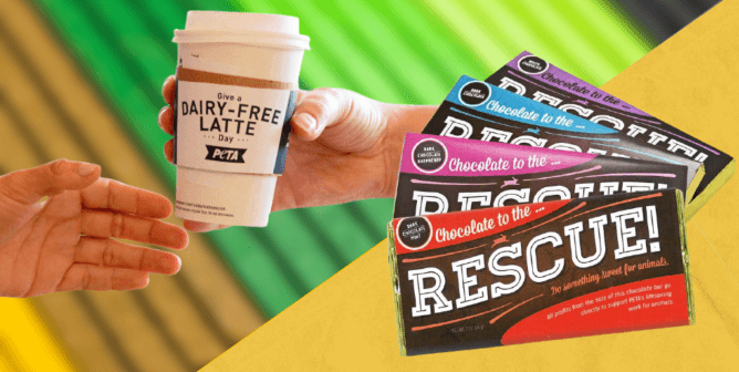 Make Someone’s Day—and Save Animals’ Lives: Give Vegan!