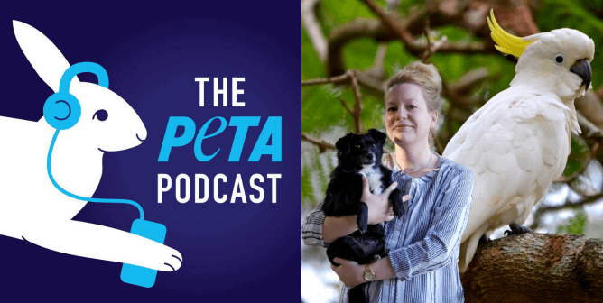 Chrissy Matthies and Cockatoo for PETA Podcast