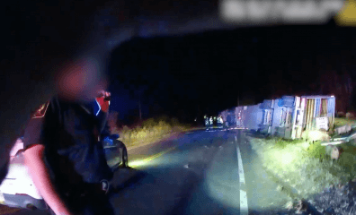 Body Cam Video Exposes Pigs’ Torment Following Fatal Wreck: ‘That’s Probably … a Broke Pig … Laying There’