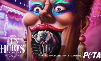 Your Fun Hurts: New Ad Campaign Shows Dark Side of Animal Circuses