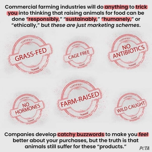 PETA Files USDA Petition Over Bogus ‘Humane’ Meat Labels like these: Grass-Fed, Cage Free, No Antibiotics, No Hormones, Farm-Raised, Wild Caught