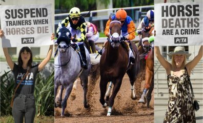 Ohio Racing Officials Look to Implement Lifesaving Rules After Horse Dies