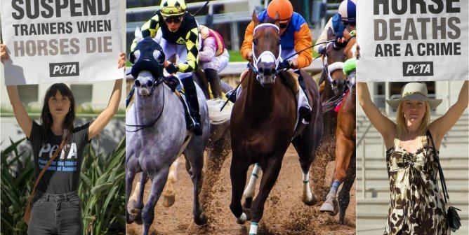 Ohio Racing Officials Look to Implement Lifesaving Rules After Horse Dies