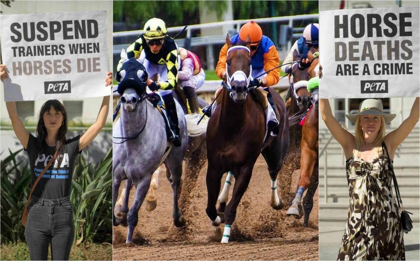 Mox Nix Death Prompts Promise for Ohio Racetrack Rules Changes