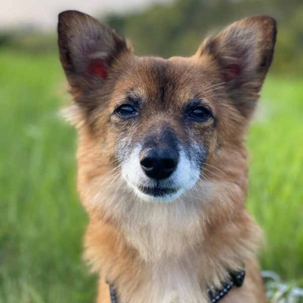 Paulina after rescue wearing harness