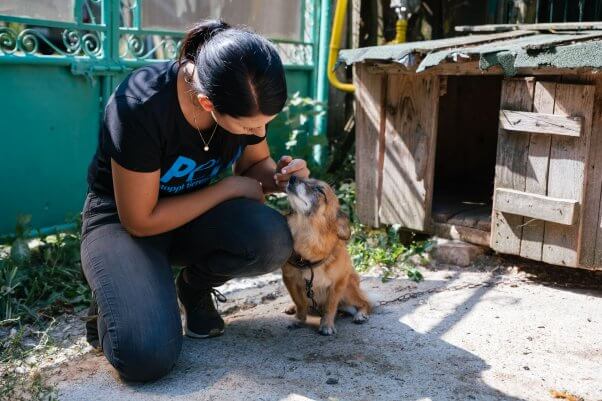 PETA Helps Romania worker with Paulina the dog