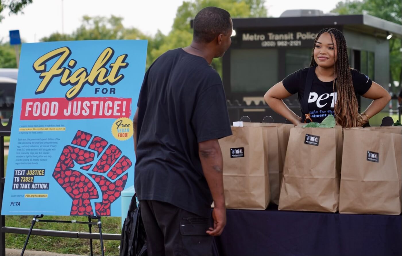 handing out vegan meals at a food justice event in Washington, D.C.