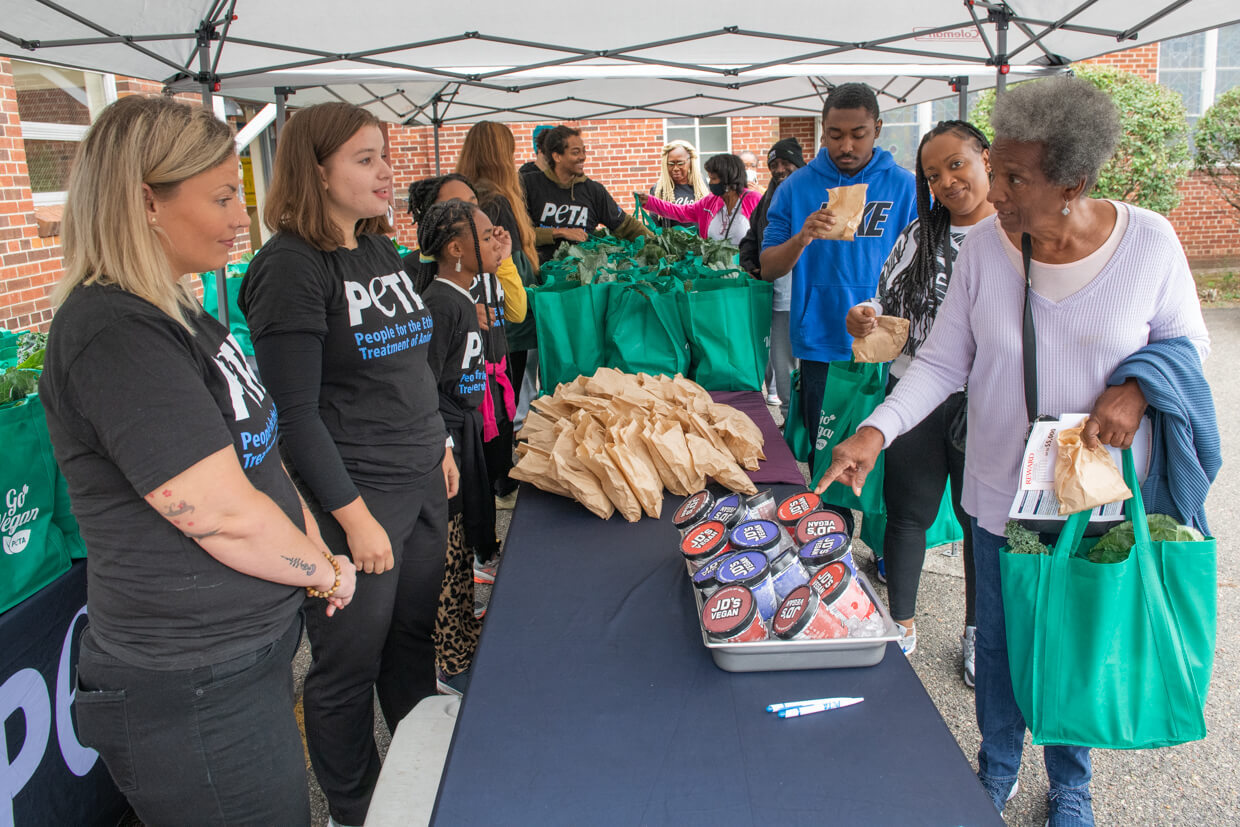 people receiving food at the detroit food justice giveaway