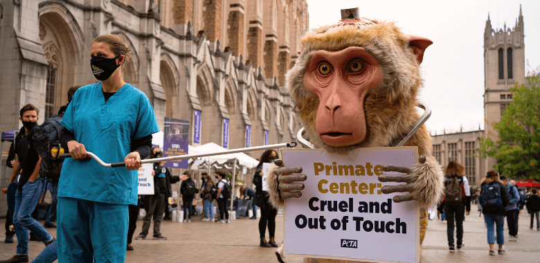 PETA ‘Primate’ Protests UW Torture on First Day of Class