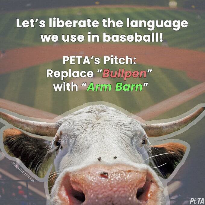 arm barn to replace bullpen in MLB