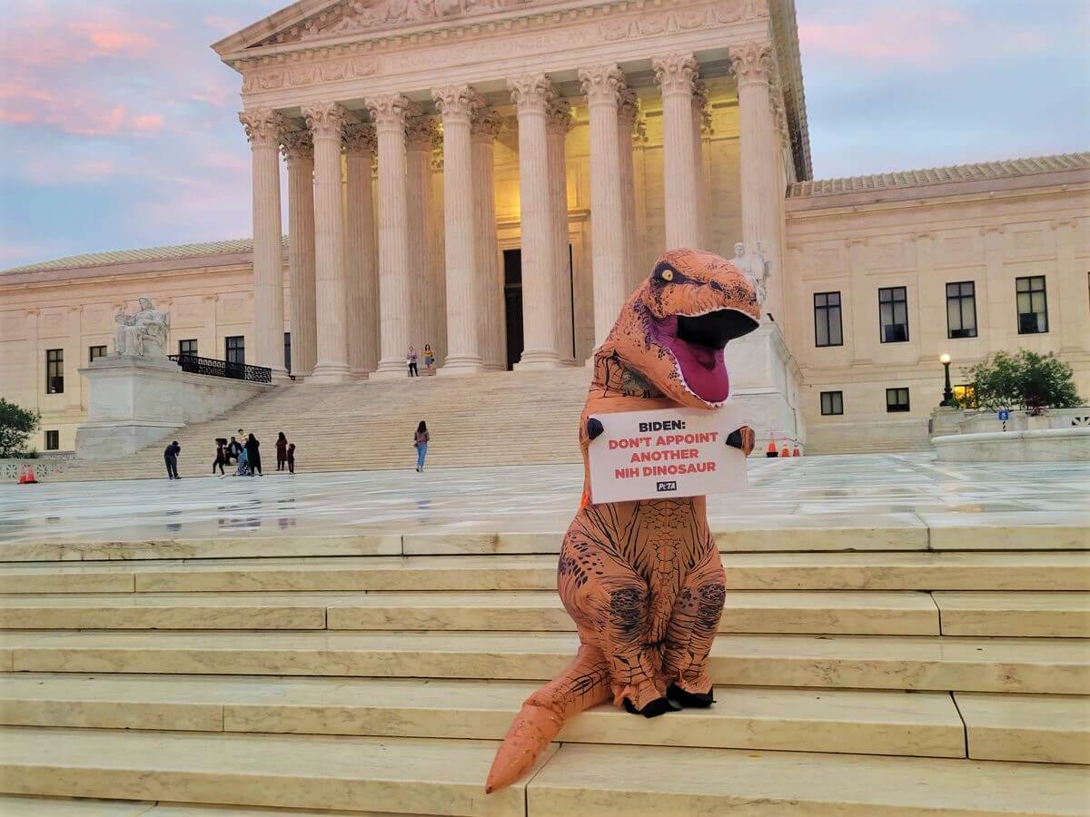 PETA dino at Washington DC