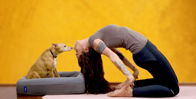 Happy image of person doing yoga with dog