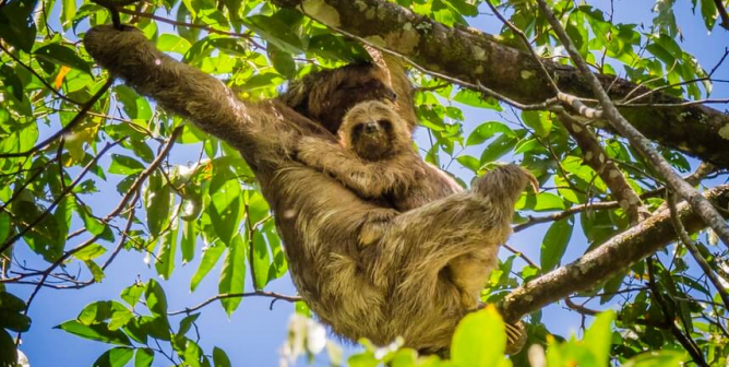 Infamous SeaQuest Owner Wants to Open More Aquariums | Take Action