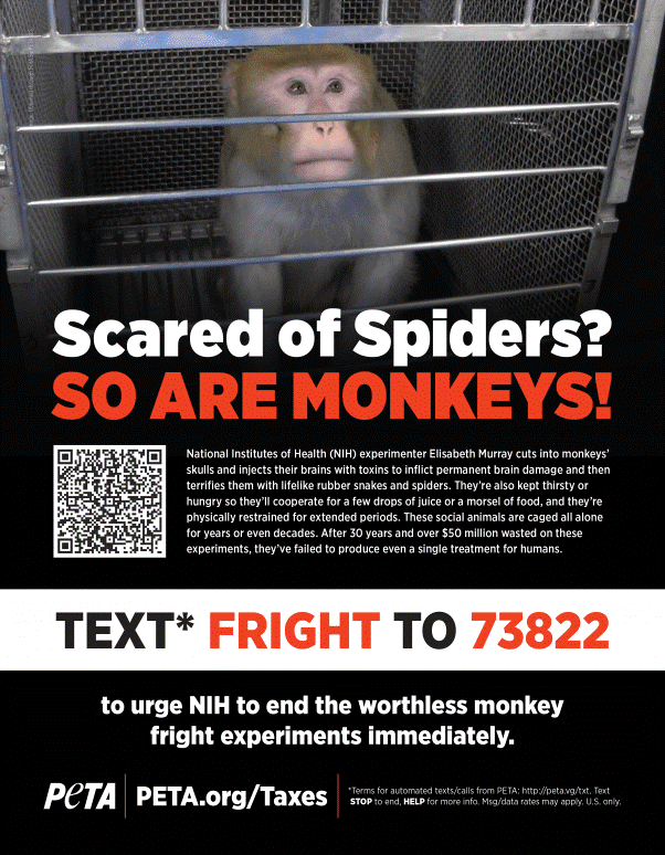 nih monkey terror flyer