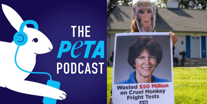 Go Behind the Scenes at PETA With Our New Podcast