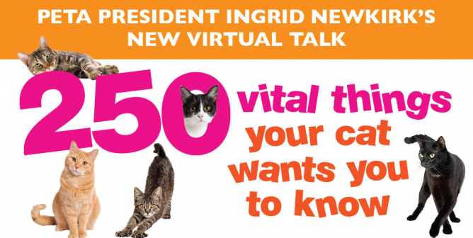 Register Now! Ingrid Newkirk Is Back With Her PAWesome Talk on the Cat Guardian’s Bible