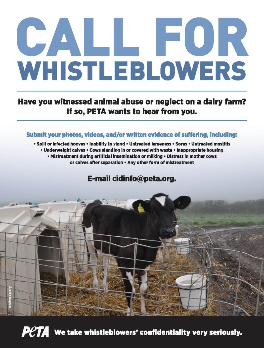 Call for Dairy Whistleblowers Cow Ad