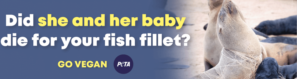 Did She And Her Baby Die For Your Fish Fillet? (Seal)