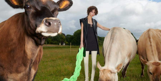 Feature image for H&M