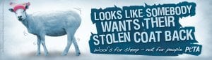 Looks Like Somebody Wants Their Stolen Coat Back 1 Eugene Airport Lands PETA Appeal: Wearing Wool Is Just Plane Wrong!