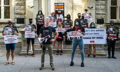 Gen Z Is Ready to End Speciesism: SOS Launches New Campaign