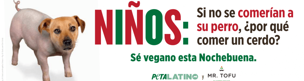 Sé Vegano Esta Nochebuena