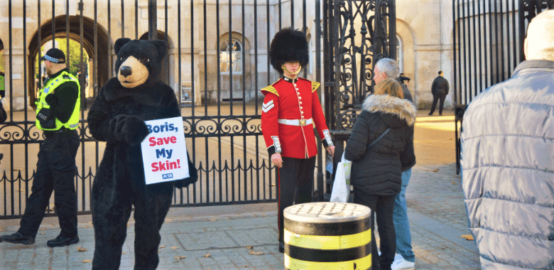 Will Boris Johnson Stop the Slaughter of Canadian Bears?