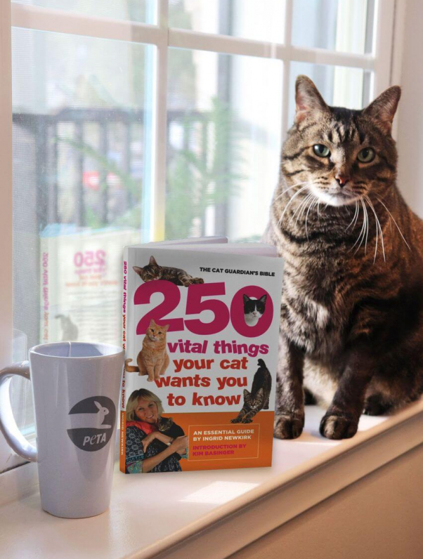 Cat with PETA mug and Ingrid Newkirk's book