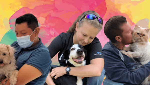 Help Unlock $100,000 for Dogs and Cats