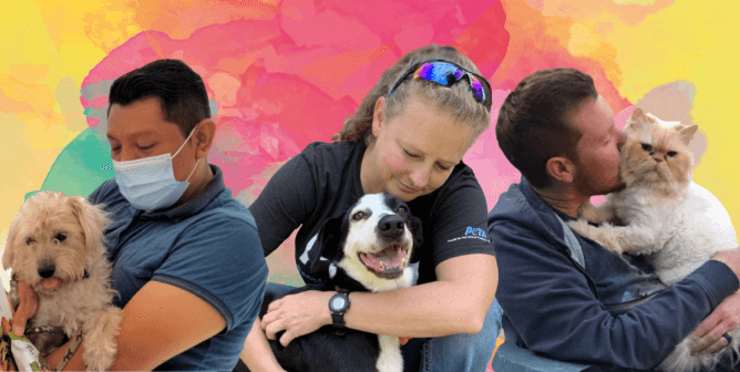 Help Unlock $100,000 for Dogs and Cats