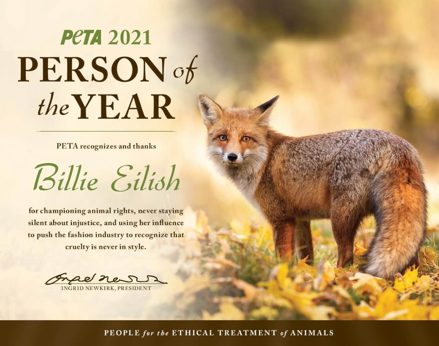person-of-the-year-award-billie-eilish-2