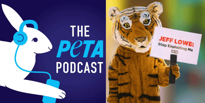 Go Behind the Scenes at PETA With Our New Podcast