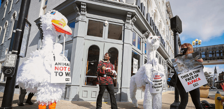 ‘Animals’ Start Ruckus Outside Urban Outfitters