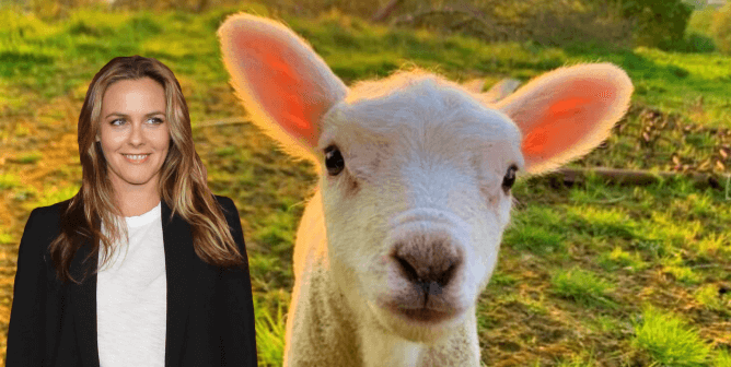 Wool-Free Sweater Picks That Alicia Silverstone Would Love