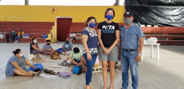 PETA volunteers stand while animals recover from sterilization surgery with their guardians.