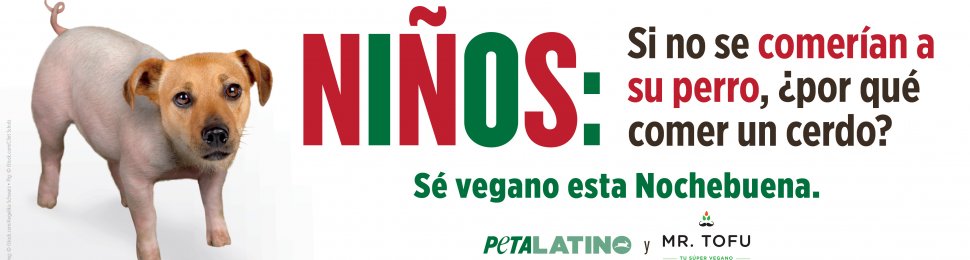 Niños: Si No Se Comerían A Su Perro, ¿Por Qué Comer Un Cerdo?