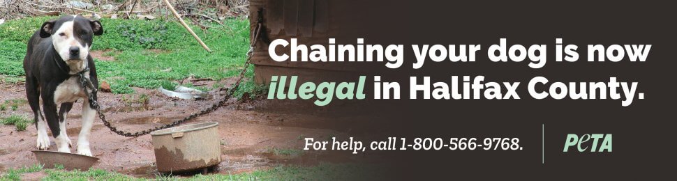 Chaining Your Dog Is Now Illegal In Halifax County