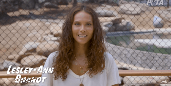 Lesley-Ann Brandt: End Cruel Cub Petting
