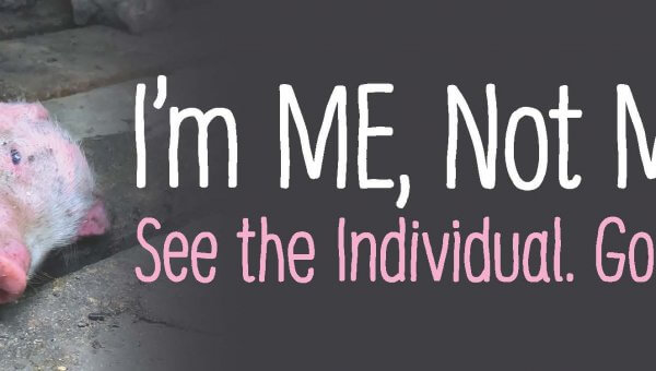 I’m ME, Not MEAT (Piglet)