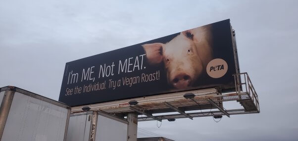 Me not meat billboard sideview