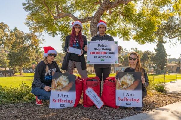 PETA activists in Santa hats admonish Petco CEO with signs and coal for christmas.
