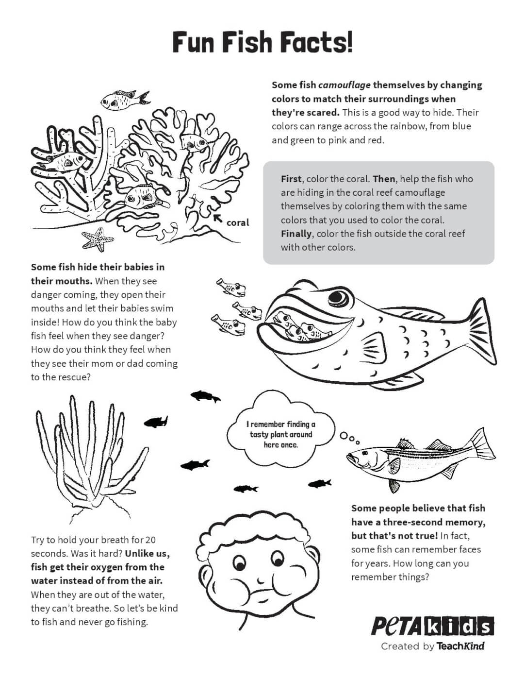 3 Fish-Friendly Activities to Teach Students Empathy